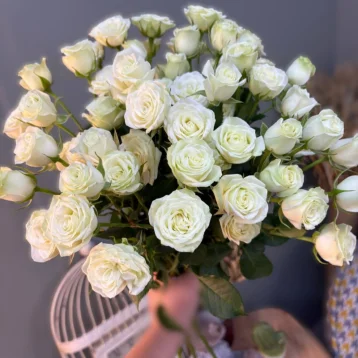 Роза кустовая белая 1шт-250руб