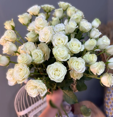 Роза кустовая белая 1шт-250руб