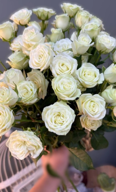 Роза кустовая белая 1шт-250руб