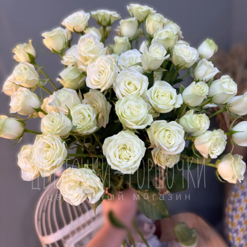 Роза кустовая белая 1шт-250руб