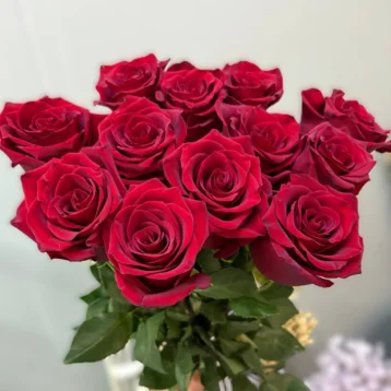 Роза красная 1шт-300руб