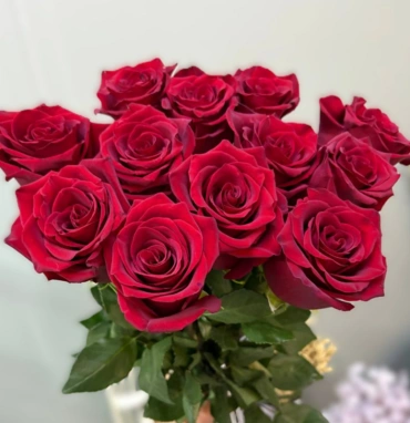 Роза красная 1шт-300руб