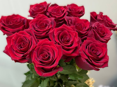 Роза красная 1шт-300руб