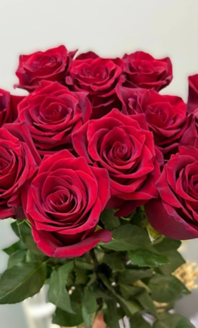 Роза красная 1шт-300руб