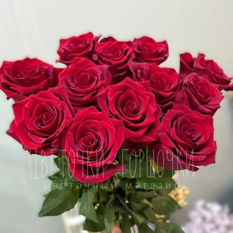 Роза красная 1шт-300руб