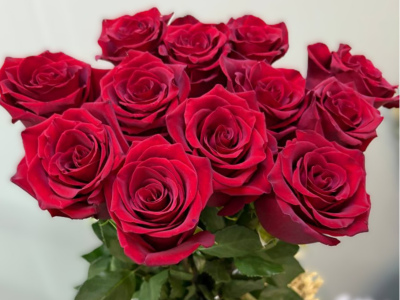 Роза красная 1шт-350руб