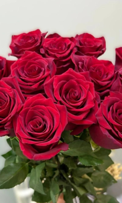 Роза красная 1шт-350руб