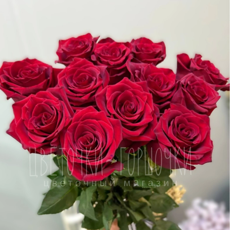 Роза красная 1шт-350руб