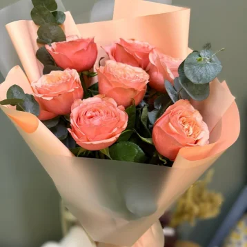 Персиковые грезы