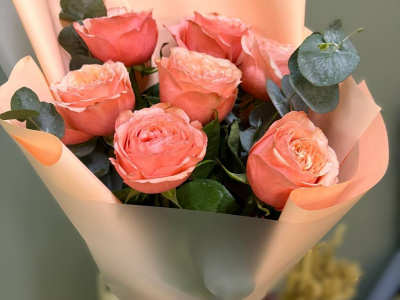 Персиковые грезы