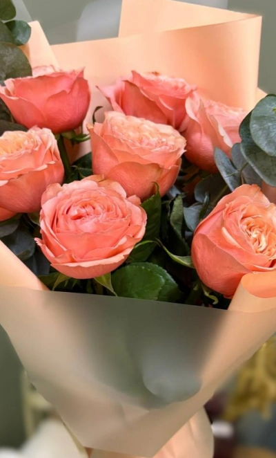 Персиковые грезы