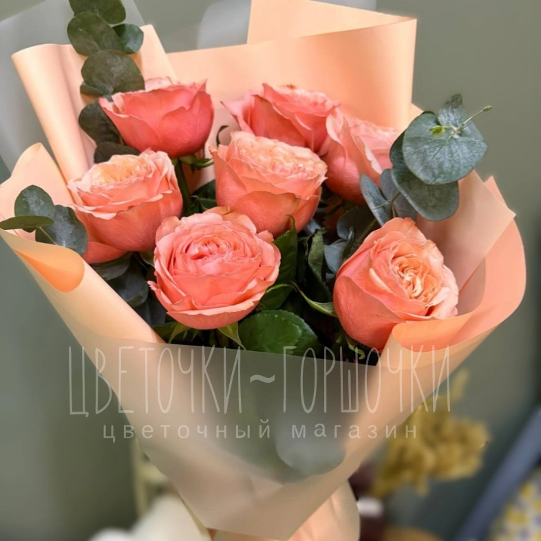 Персиковые грезы