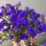 Статица 1шт-150руб 0