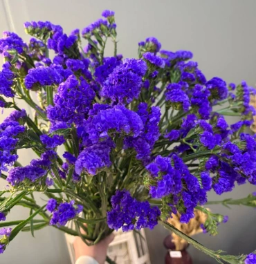 Статица 1шт-150руб