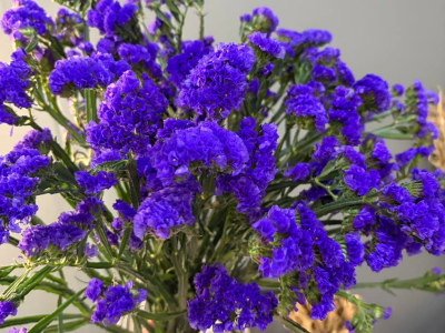 Статица 1шт-150руб