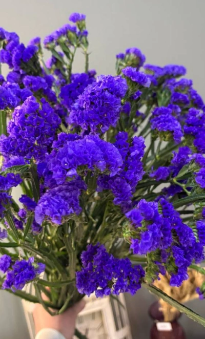 Статица 1шт-150руб