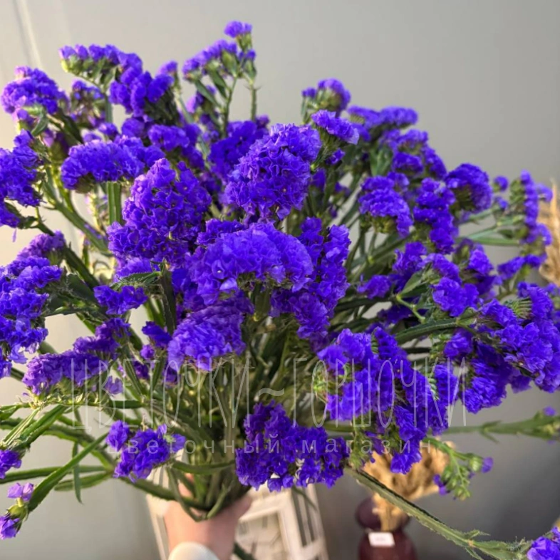 Статица 1шт-150руб