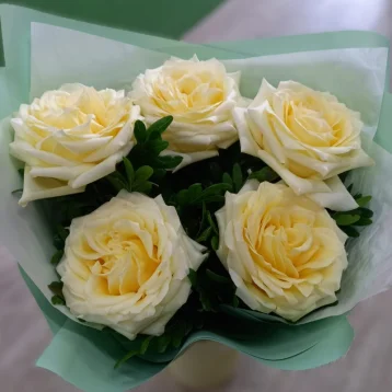 Белые нежности