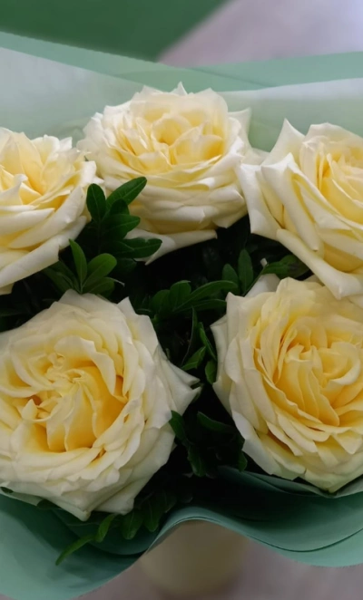 Белые нежности