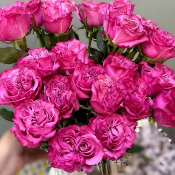 Роза Кантри Блюз 1шт-300руб