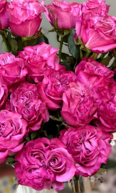 Роза Кантри Блюз 1шт-300руб