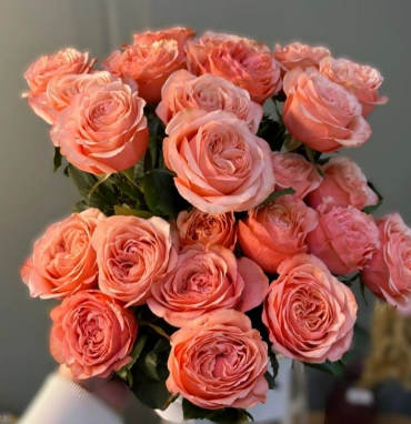 Роза Кахала 1шт-300руб