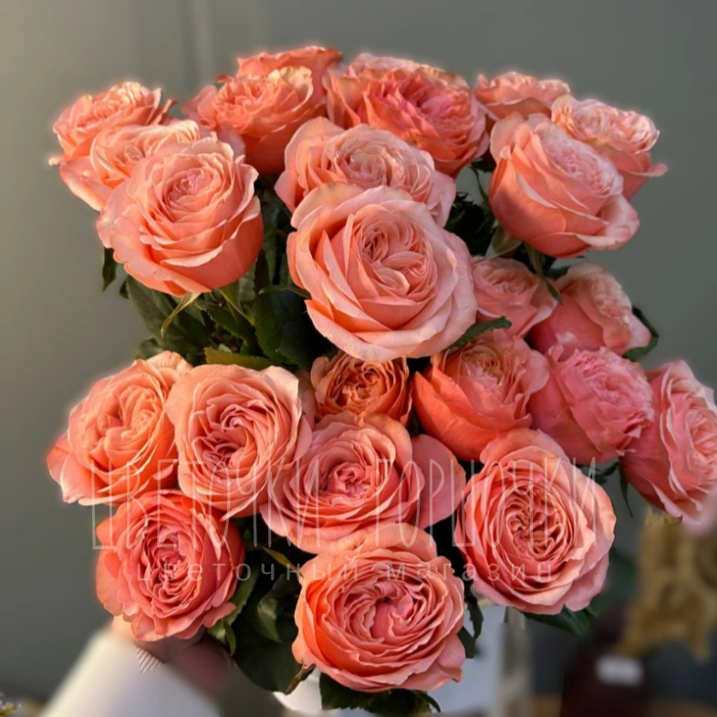 Роза Кахала 1шт-300руб